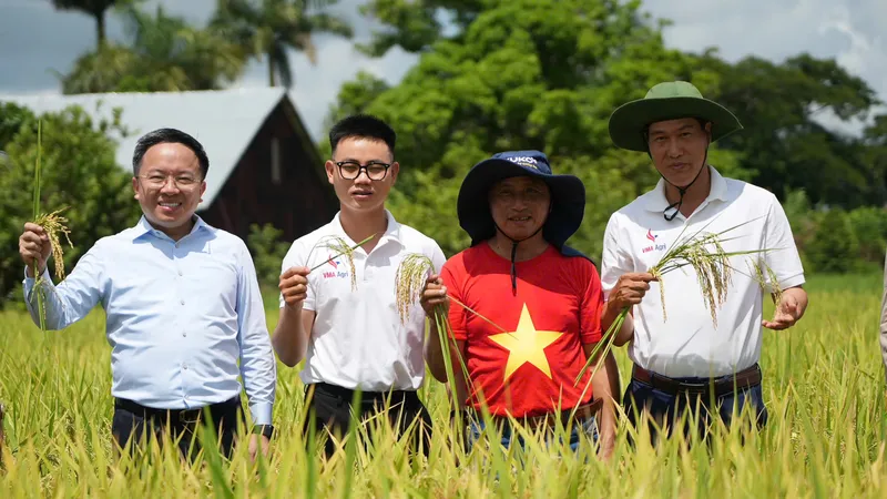 Đoàn làm phim cùng các chuyên gia Việt Nam trên cánh đồng trĩu hạt ở Cu Ba