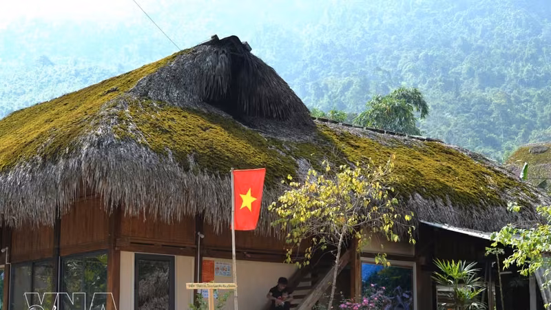 小径通向苔藓覆盖屋顶的房屋。图自越通社。