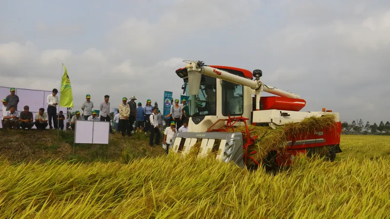 Hậu Giang: Nông dân lợi nhuận 65 triệu đồng/ha từ mô hình canh tác lúa thông minh