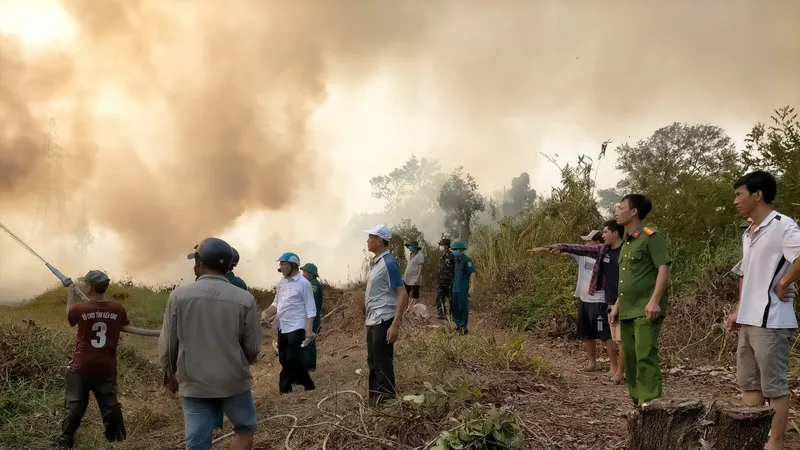 Kiên Giang: Khống chế đám cháy rừng do người đi lấy mật ong vứt tàn thuốc