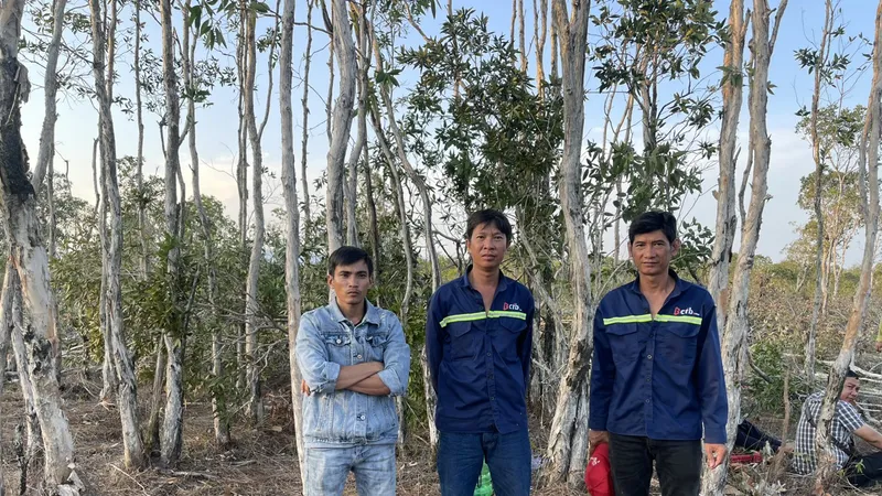 3 đối tượng phá hơn 2.000m² đất rừng Phú Quốc