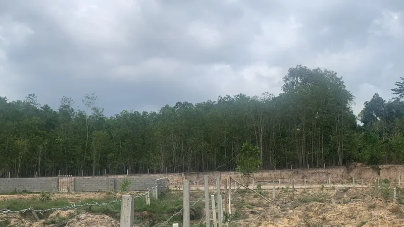 Vụ lấn chiếm đất rừng, vẽ “dự án ma” khủng ở Phú Quốc: Đề nghị khai trừ Đảng một nguyên bí thư, chủ tịch xã 