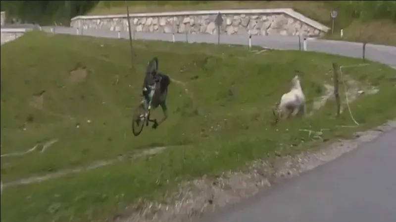Filippo Zana té lộn nhiều vòng tại Tour of Slovenia 2023