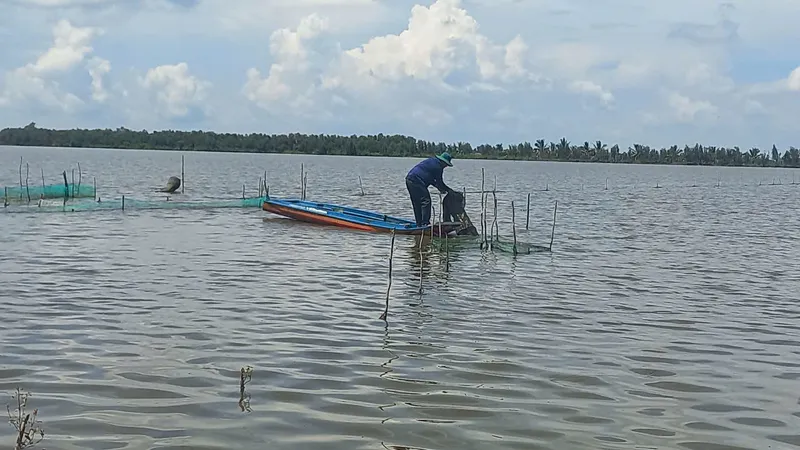 Nước trên ruộng còn cao nên hàng ngàn ha lúa tại vùng Đồng Tháp Mười (tỉnh Tây Ninh) chưa thể gieo sạ