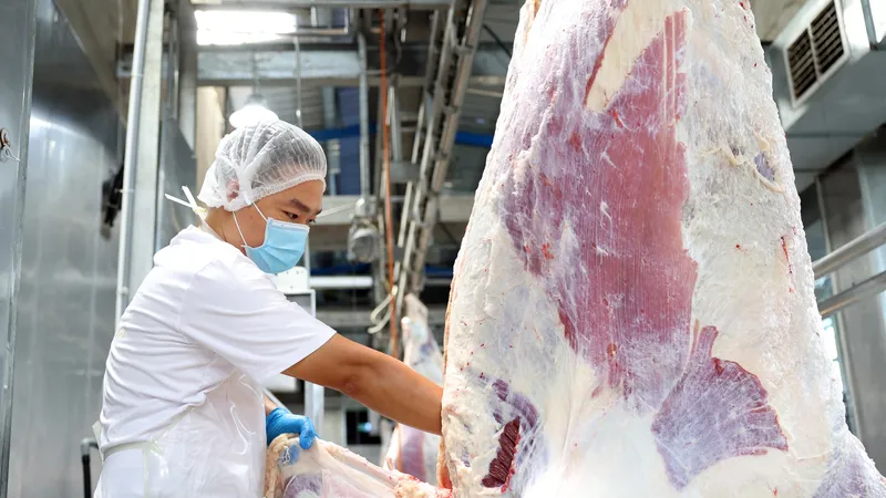 Sản xuất tại nhà máy của Công ty TNHH Pacow International, tỉnh Tây Ninh