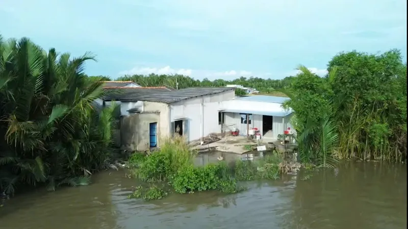 Một điểm có nguy cơ sạt lở nguy hiểm tại bờ sông Cần Đước, xã Tân Lân, tỉnh Tây Ninh