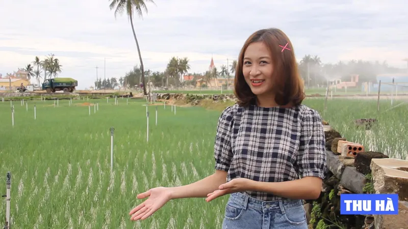Đặc sản và những thắng cảnh độc đáo ở Lý Sơn