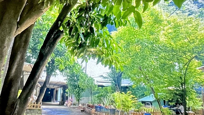 《一栋房子》林松风/摄
