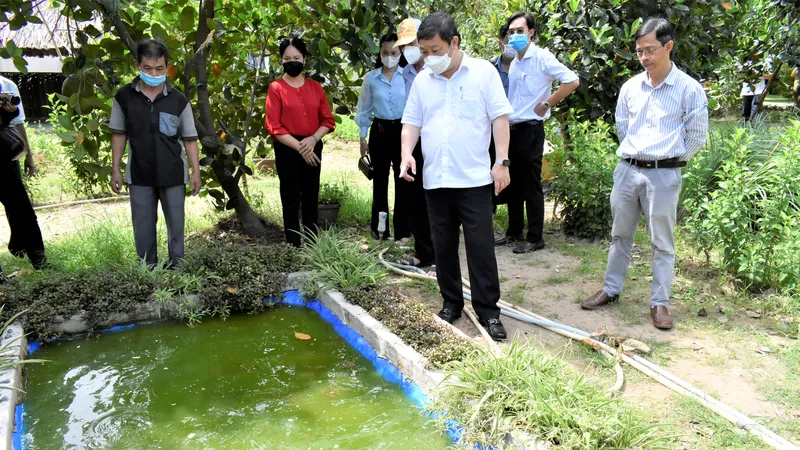 Phòng chống dịch sốt xuất huyết: Người dân còn chủ quan, lơ là