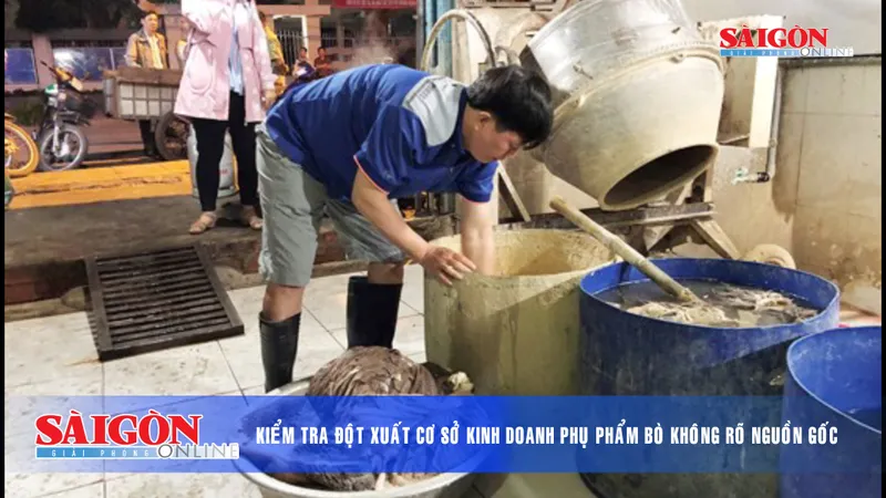 Điểm tin SGGP Online ngày 19.01.2019
