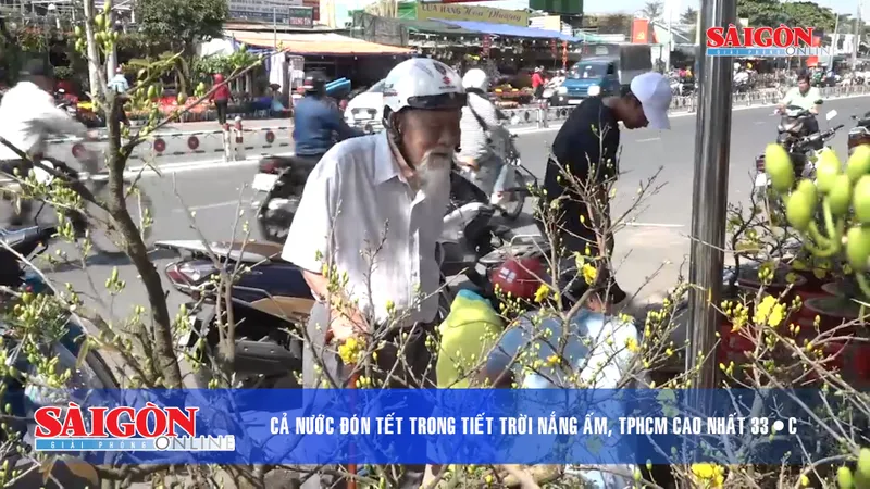 Điểm tin SGGP Online ngày 03.02.2019