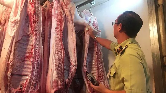 Điểm tin SGGP Online ngày 13-5-2019