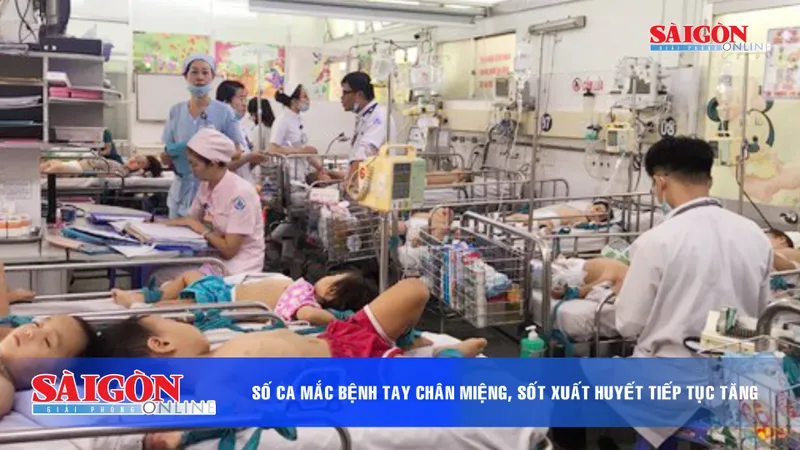 Điểm tin SGGP Online ngày 13-9-2019