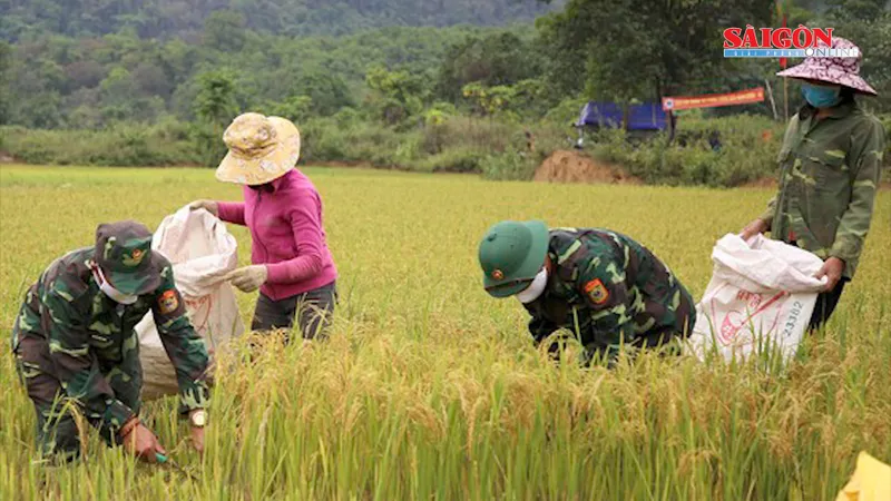 Điểm tin SGGP Online ngày 2-5-2020