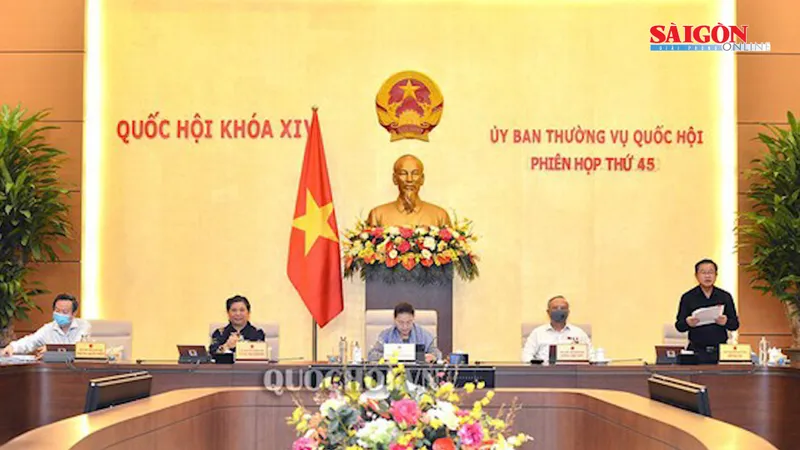 Điểm tin SGGP Online ngày 12-5-2020