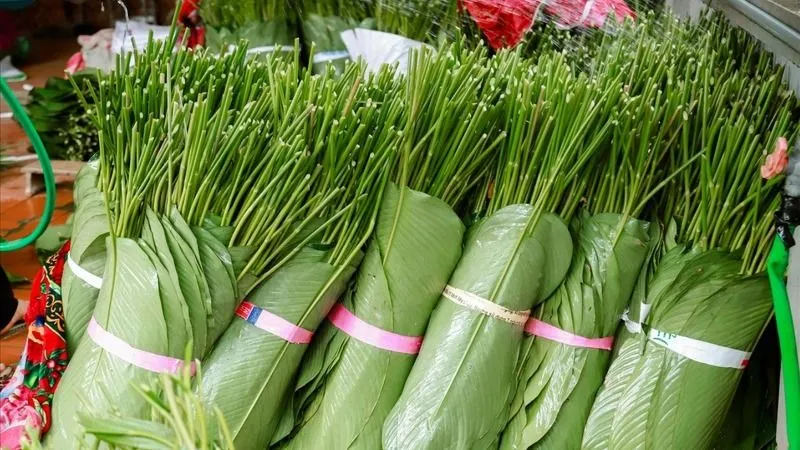 Podcast: Miền Bắc “cháy” lá dong