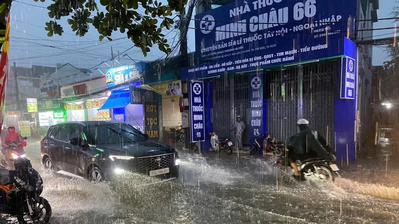 Podcast bản tin trưa 28-12: Thời tiết tuần cuối năm như thế nào?; “Bà trùm” Oanh Hà cùng 27 đồng phạm nhận mức án tử hình
