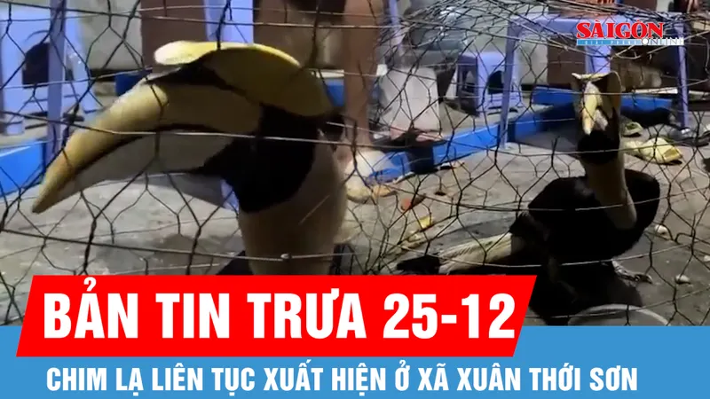 Bản tin trưa 25-12: Chim lạ liên tục xuất hiện ở xã Xuân Thới Sơn