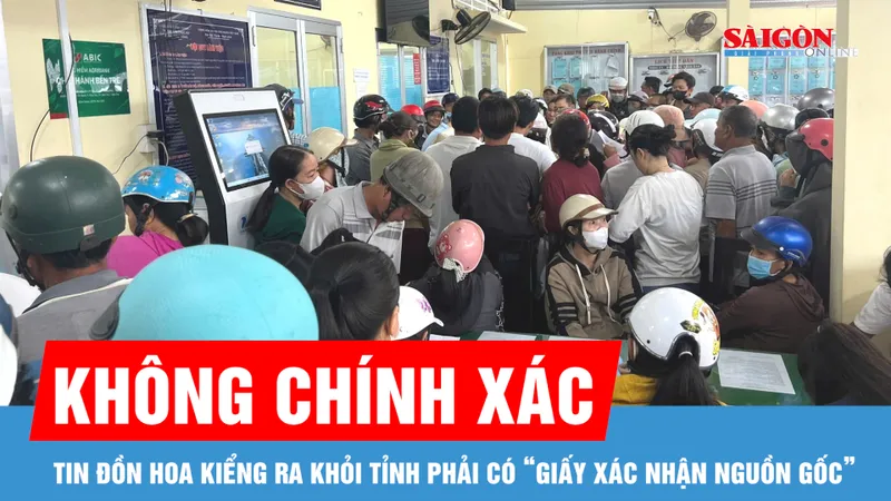 Vĩnh Long: Tin đồn hoa kiểng ra khỏi tỉnh phải có “giấy xác nhận nguồn gốc” là không chính xác