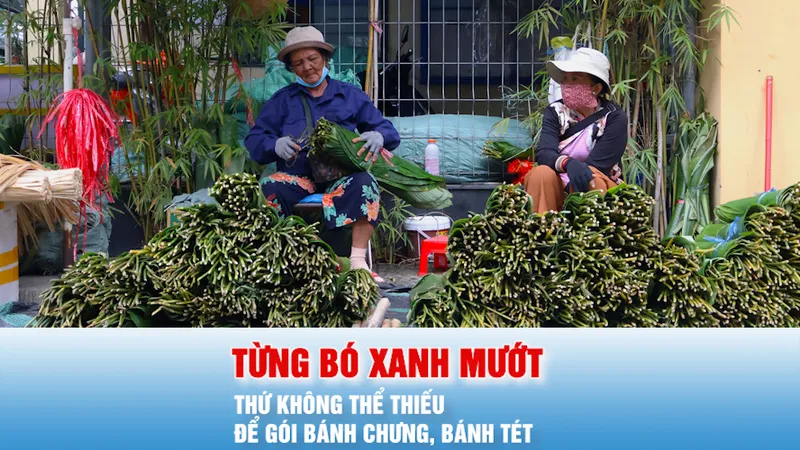 Podcast bản tin tối 11-2: Phiên chợ đặc biệt chỉ họp duy nhất một lần trong năm