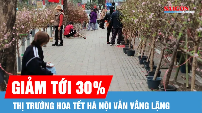 Thị trường hoa tết Hà Nội ảm đạm dù cận tết