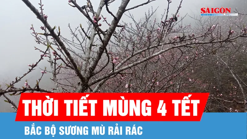 Thời tiết ngày 20-2 (mùng 4 Tết): Bắc bộ sương mù rải rác, Nam bộ tiếp tục nắng nóng