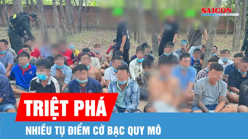 “Xóa sổ” nhiều ổ cờ bạc quy mô tại TPHCM