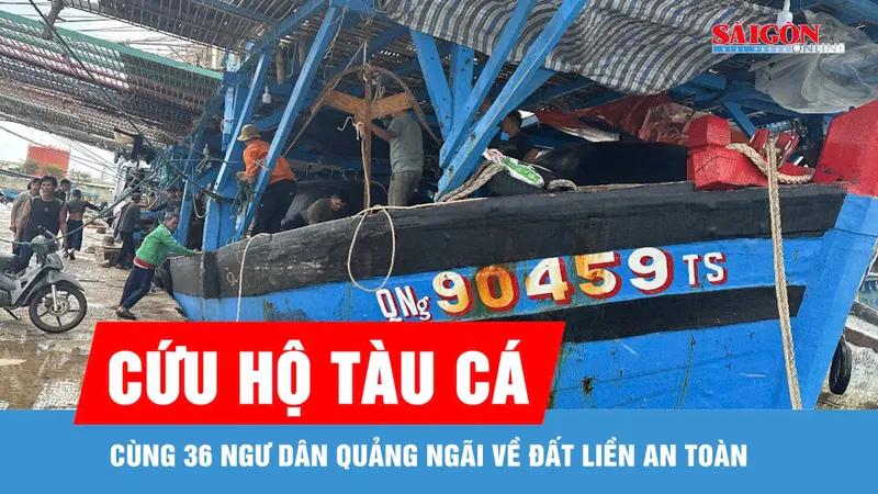 Cứu hộ tàu cá cùng 36 ngư dân Quảng Ngãi về đất liền an toàn