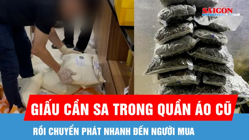 Giấu cần sa trong các kiện hàng quần áo cũ rồi chuyển phát nhanh đến người mua