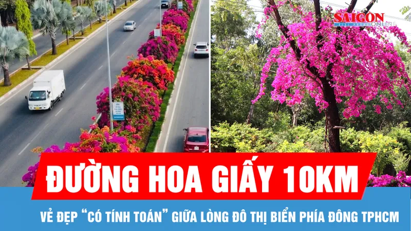 Đường hoa giấy 10km: Vẻ đẹp “có tính toán” giữa lòng đô thị biển phía Đông TPHCM