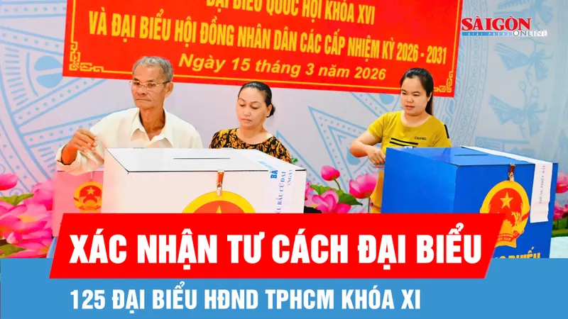 125 đại biểu HĐND TPHCM khóa XI được xác nhận tư cách đại biểu