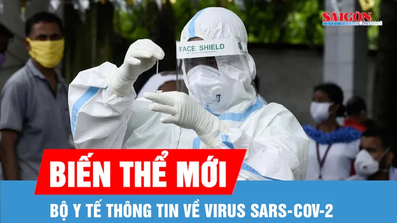 Xuất hiện biến thể mới của virus SARS-CoV-2, Bộ Y tế thông tin gì?