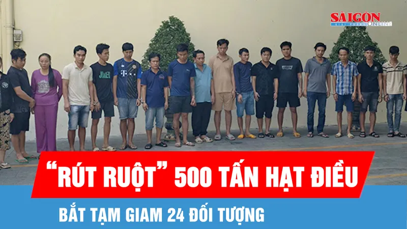 Vụ “rút ruột” 500 tấn hạt điều: Bắt 24 đối tượng