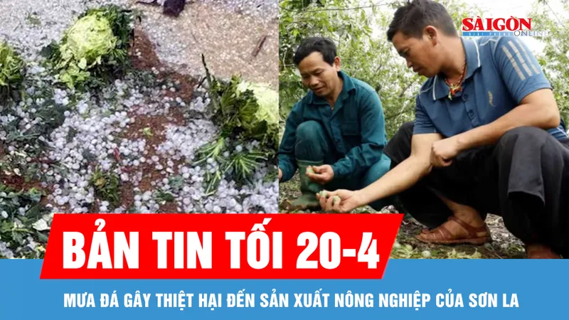 Bản tin tối 20-4: Mưa đá gây thiệt hại đến sản xuất nông nghiệp của Sơn La