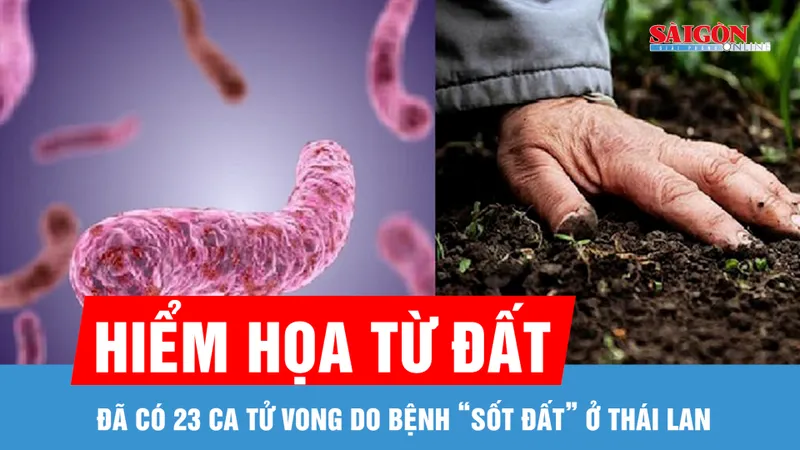 Bộ Y tế khuyến cáo khẩn sau 23 ca tử vong do bệnh “sốt đất” ở Thái Lan