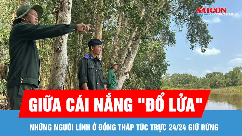 Giữa cái nắng "đổ lửa", những người lính ở Đồng Tháp túc trực 24/24 giữ rừng 