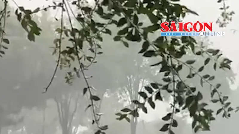 Theo các chuyên gia khí tượng, từ sáng đến trưa 5-5, Nam bộ và TPHCM ít mưa; đến chiều và tối, có nguy cơ xuất hiện mưa dông kèm lốc sét và gió giật mạnh.