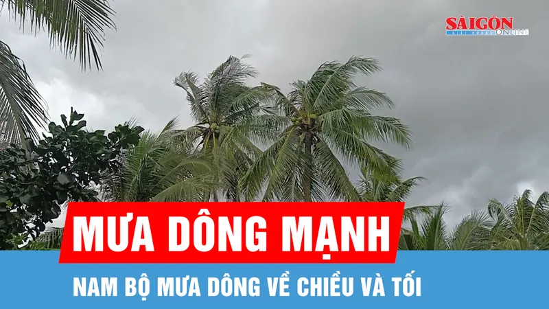 Dự báo Nam bộ mưa dông vào chiều và tối 5-5