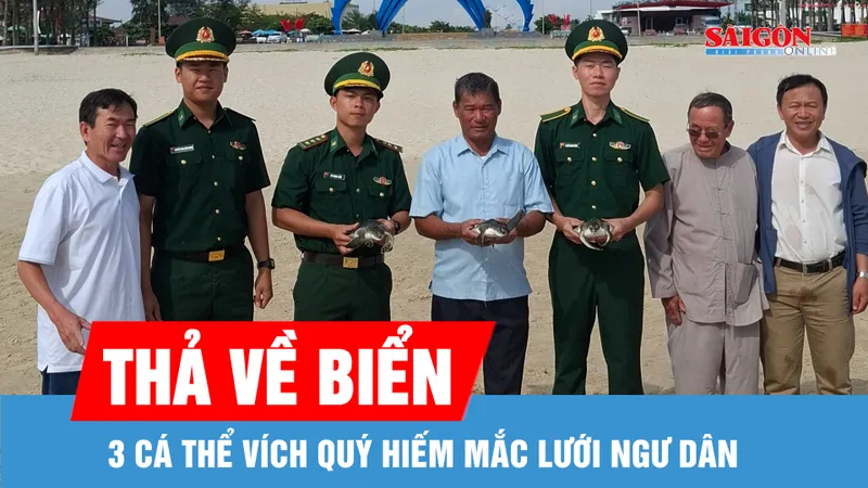 3 cá thể Vích quý hiếm cùng lúc dính lưới ngư dân