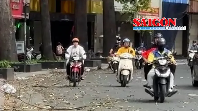 Chiều 17-5, TPHCM có gió mạnh, khi trời bắt đầu chuyển mưa, trên một số tuyến đường có nhiều nhánh cây rơi và một biển quảng cáo bị quật rơi xuống đường. 