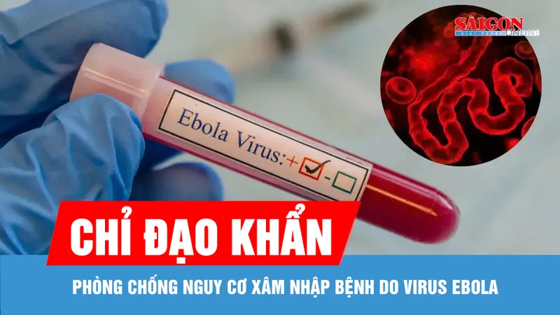 TPHCM tăng cường giám sát cửa khẩu, phòng chống dịch Ebola