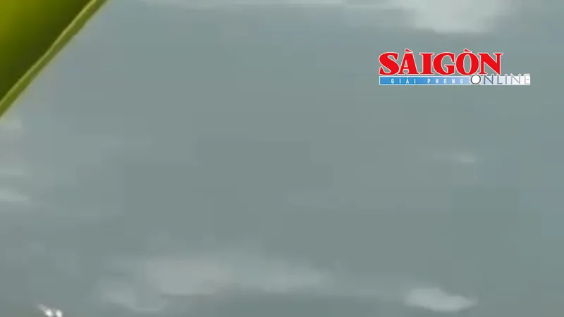 UBND phường Trương Quang Trọng (tỉnh Quảng Ngãi) vừa chỉ đạo các đơn vị liên quan kiểm tra, xác minh làm rõ nguyên nhân cá chết hàng loạt ở hồ sinh thái Khu dân cư 577.