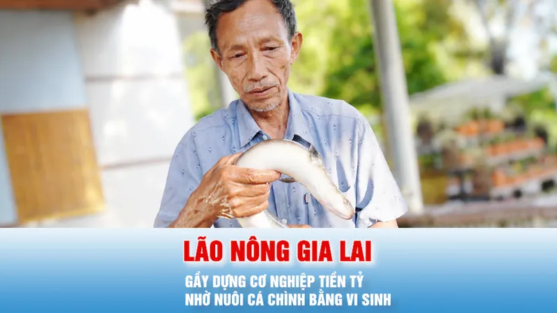 Podcast bản tin tối 7-6: Lão nông Gia Lai gầy dựng cơ nghiệp tiền tỷ nhờ nuôi cá chình bằng vi sinh