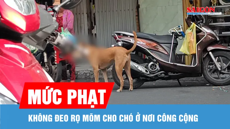 Không đeo rọ mõm cho chó ở nơi công cộng bị phạt tới 2 triệu đồng