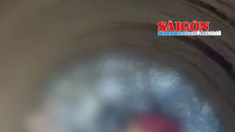 Sáng 22-6, lãnh đạo phường Tân An, tỉnh Đắk Lắk cho biết, lực lượng chức năng đã kịp thời cứu một người đàn ông dưới giếng sâu 30m lên mặt đất an toàn.