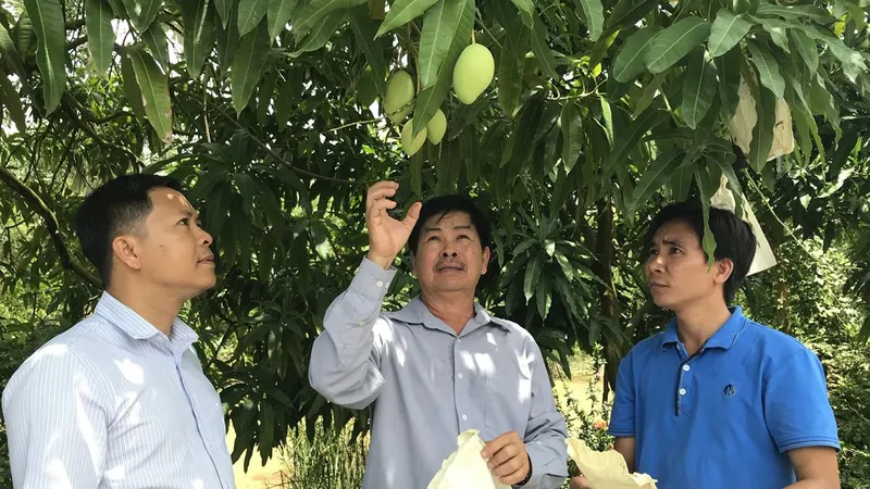 TPHCM kích cầu các tỉnh sản xuất an toàn