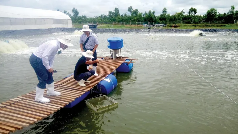 Đời sống người dân được nâng cao 
