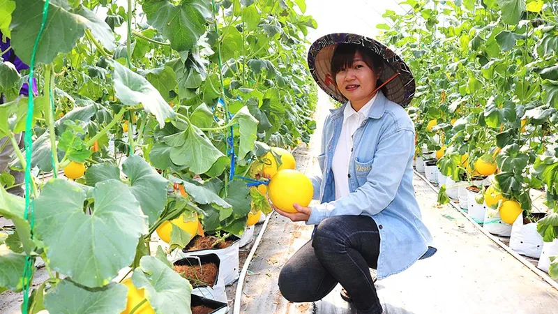 Khởi sắc du lịch cộng đồng