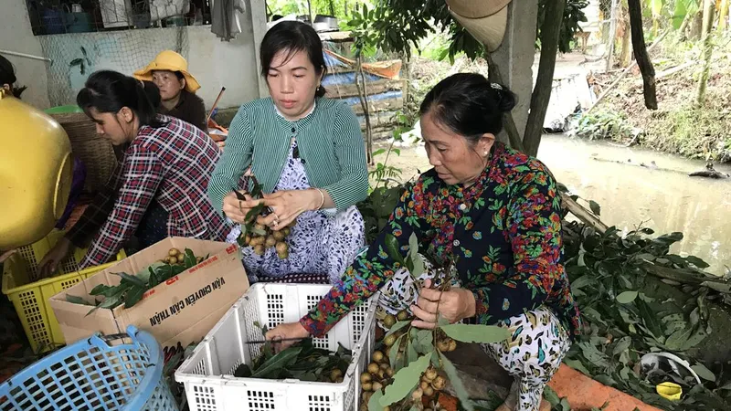Xúc tiến trái cây vùng miền