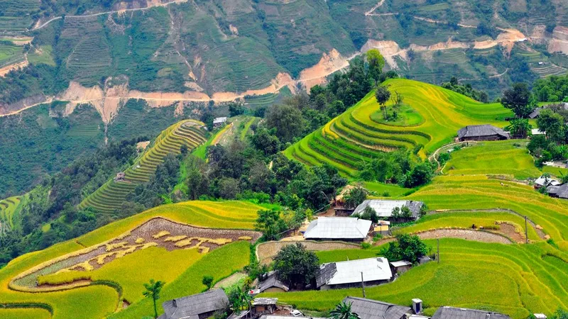 Thưởng ngoạn miền thượng du mùa lúa chín